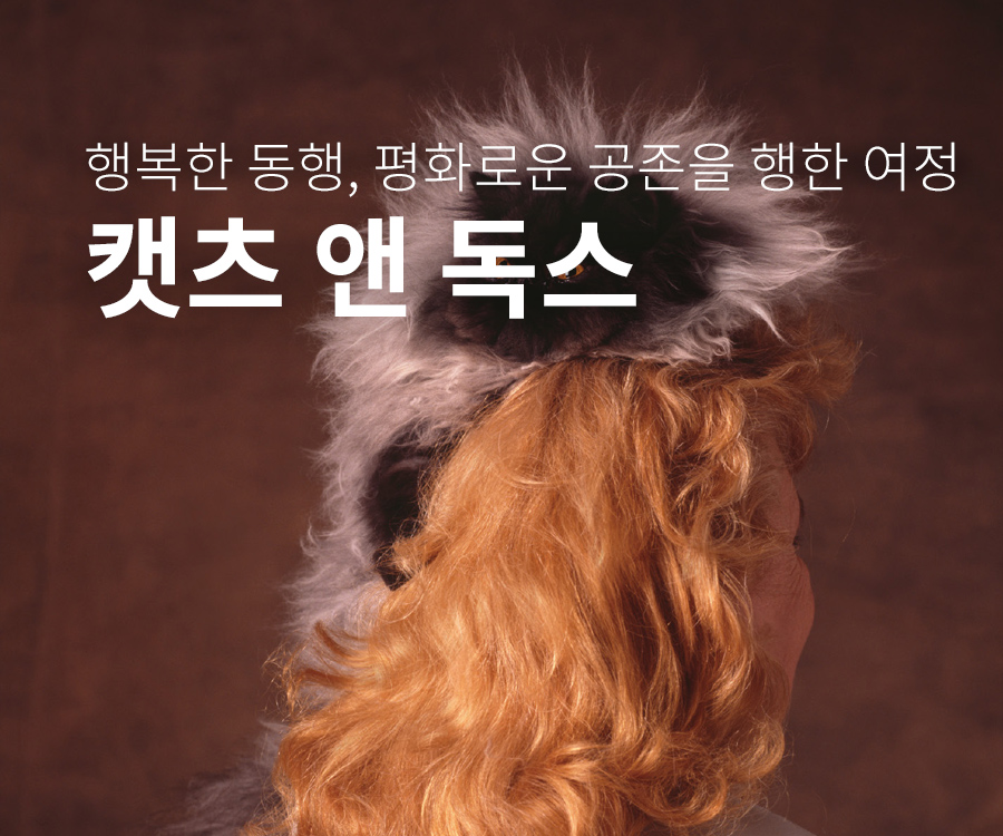 [전시] 캣츠앤독스