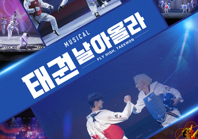 [뮤지컬] 태권, 날아올라