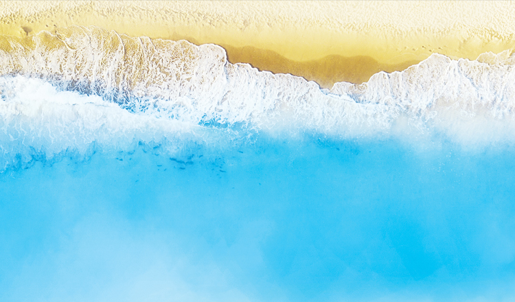 [뮤지컬] 전설의 리틀 농구단